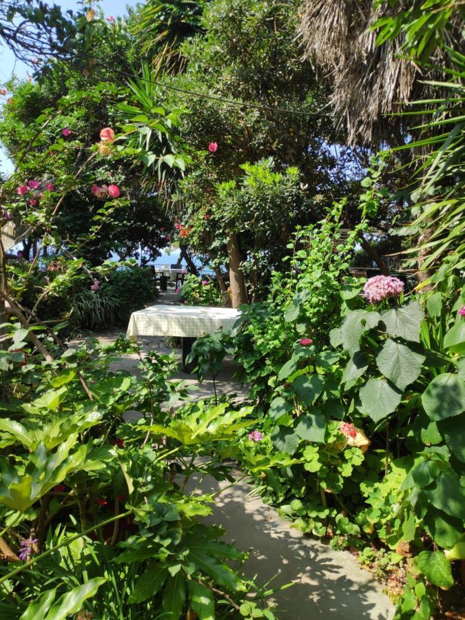 Appartement Alonaki Bay à Halikounas Extérieur photo