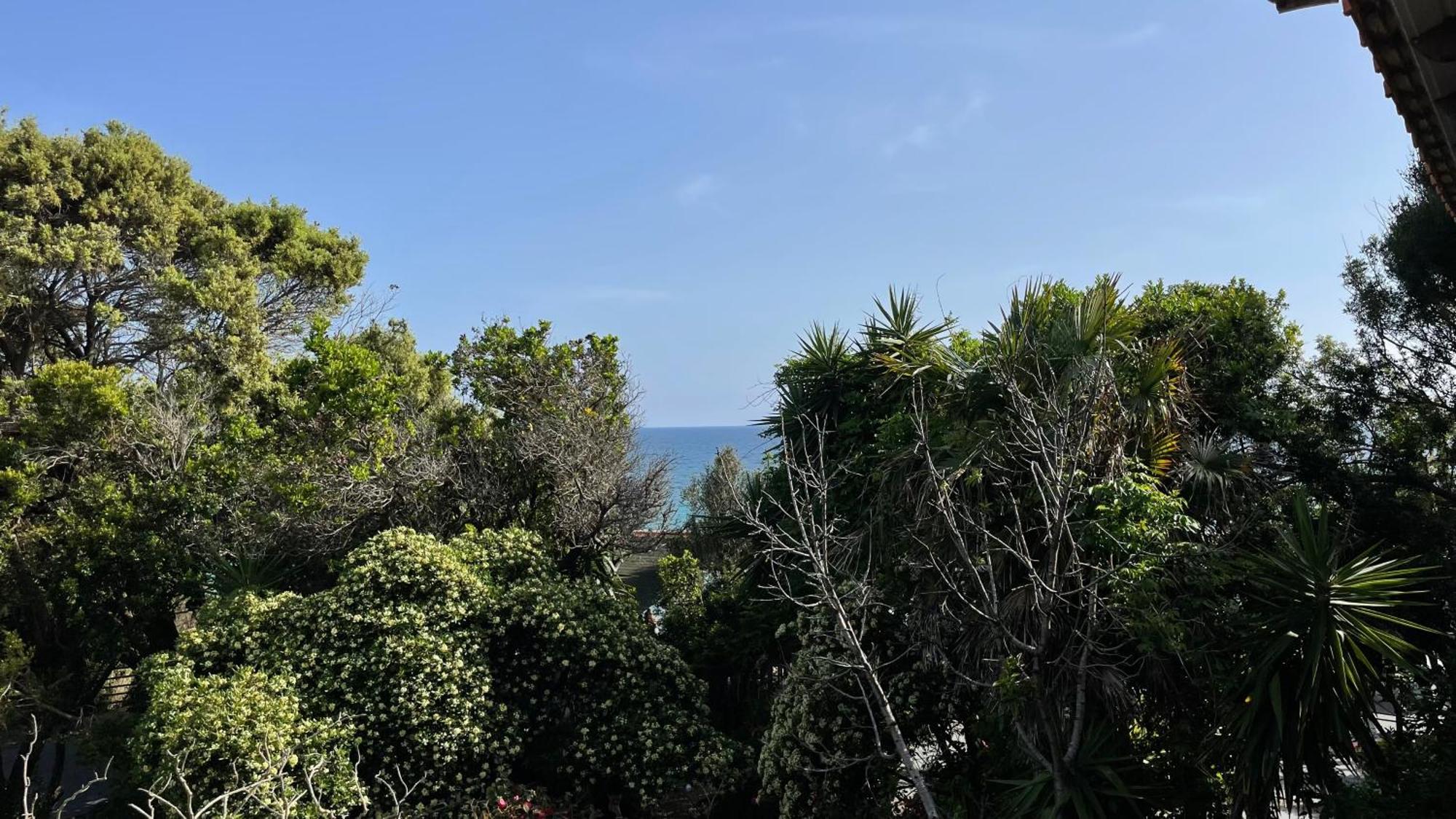 Appartement Alonaki Bay à Halikounas Extérieur photo