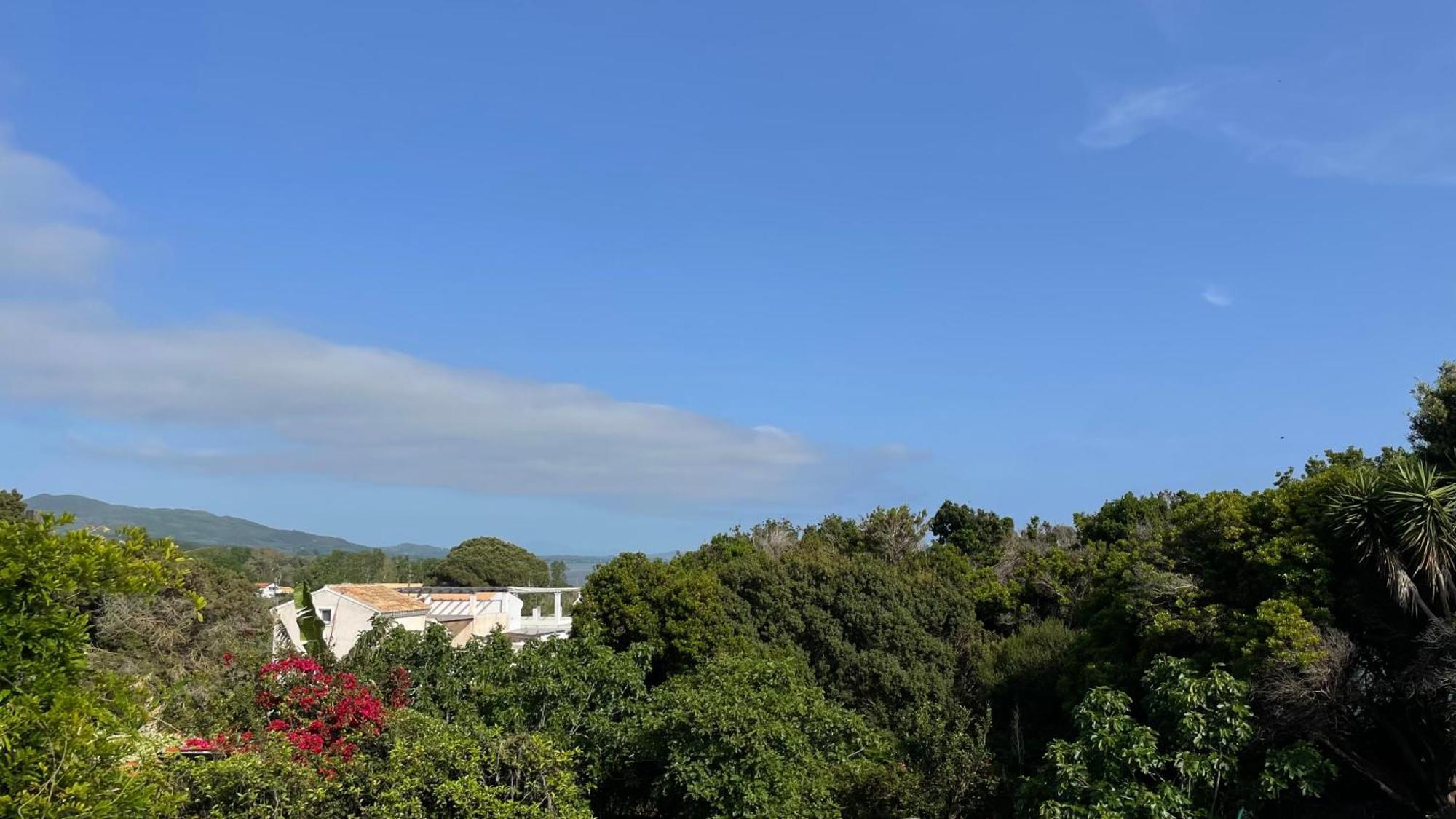Appartement Alonaki Bay à Halikounas Extérieur photo