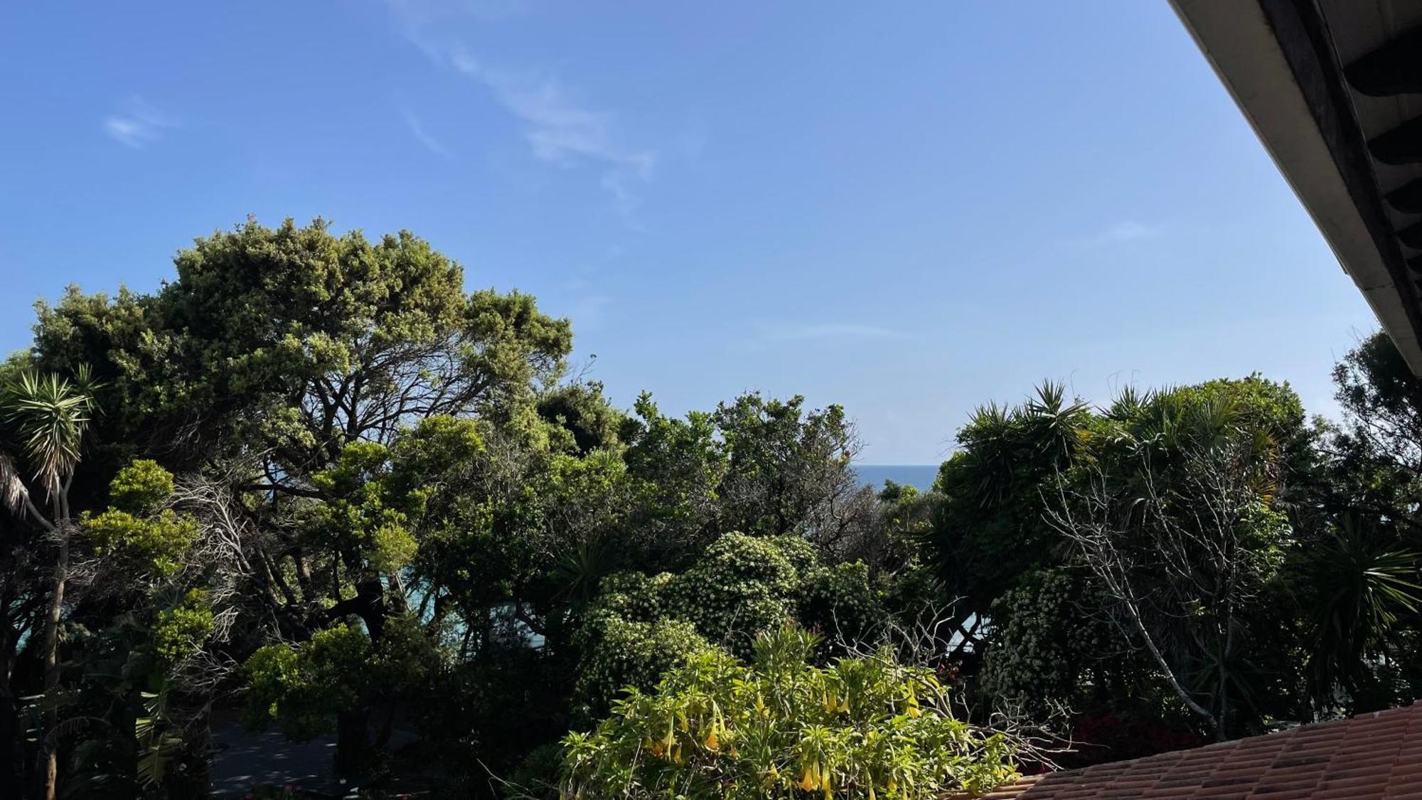 Appartement Alonaki Bay à Halikounas Extérieur photo
