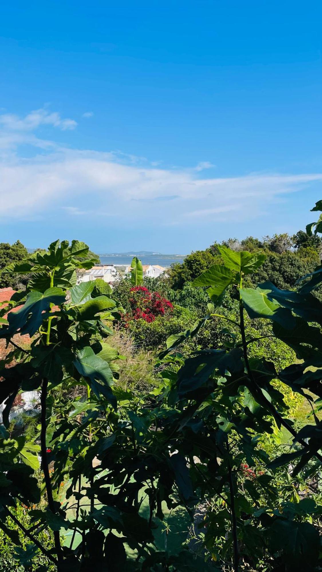 Appartement Alonaki Bay à Halikounas Extérieur photo